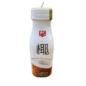 BEBIDA DE COCO 245ML