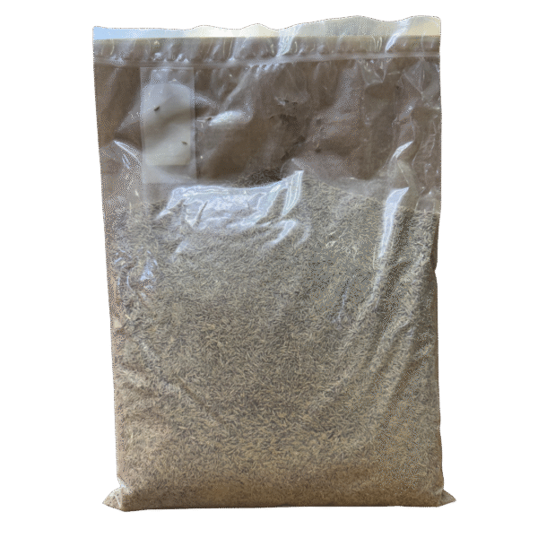 COMINO CHINO ENTERO 1KG