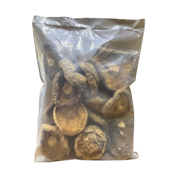 HONGO ESPECIAL DESHIDRATADO 100GR